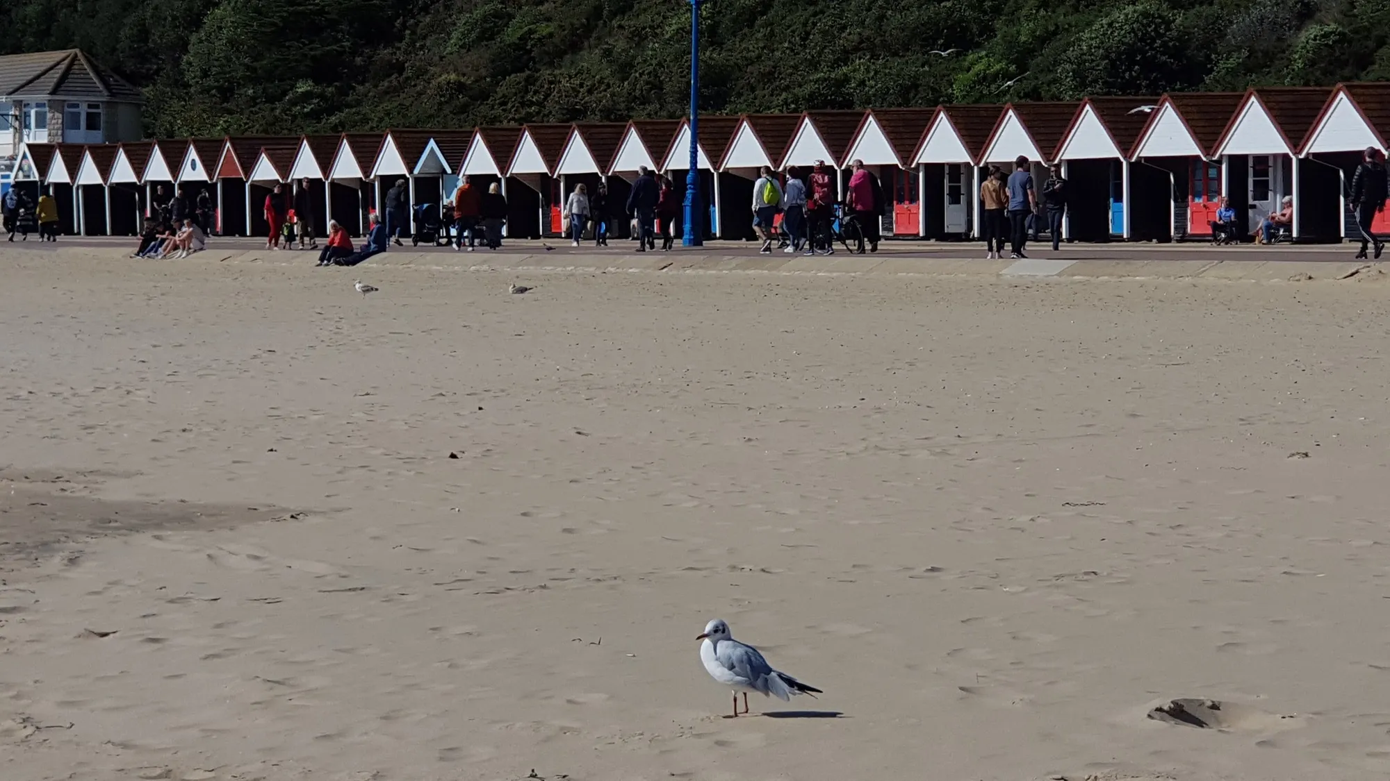 Bournemouth 14