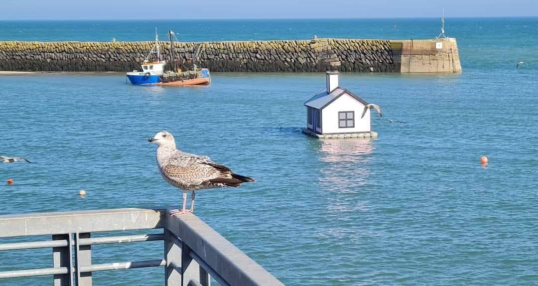 Folkestone 9