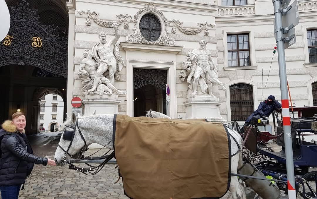 Vienna 7