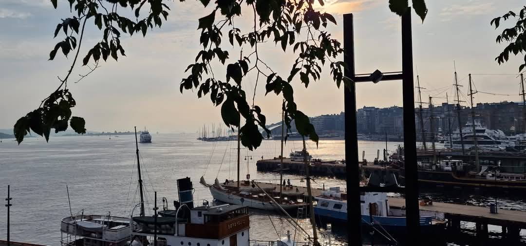 Oslo 11