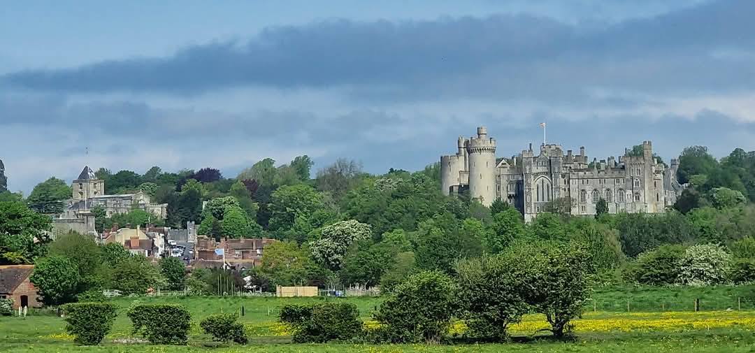 Arundel 11