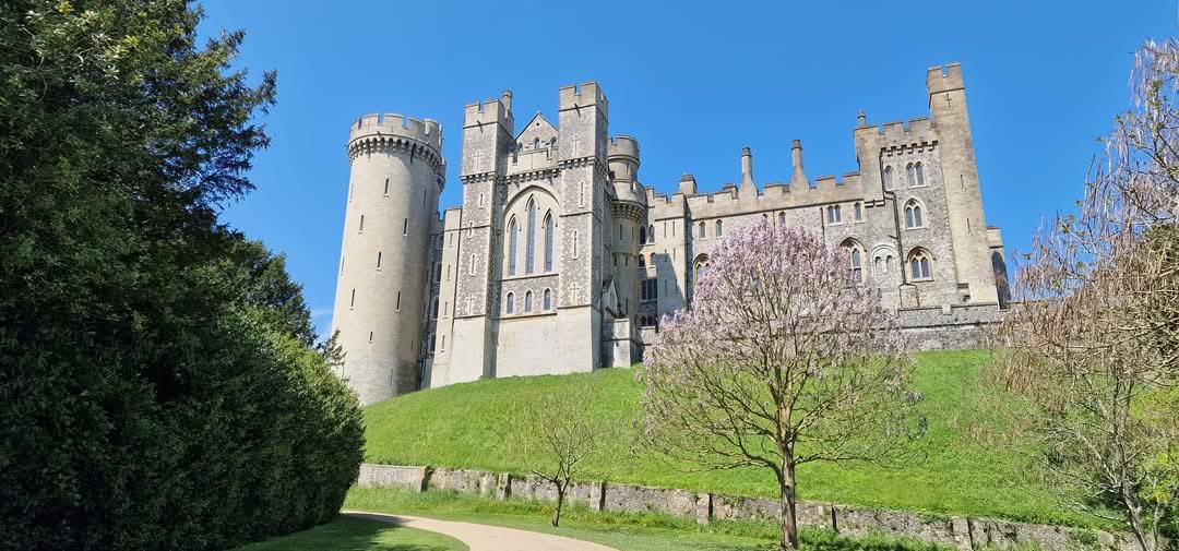 Arundel 12