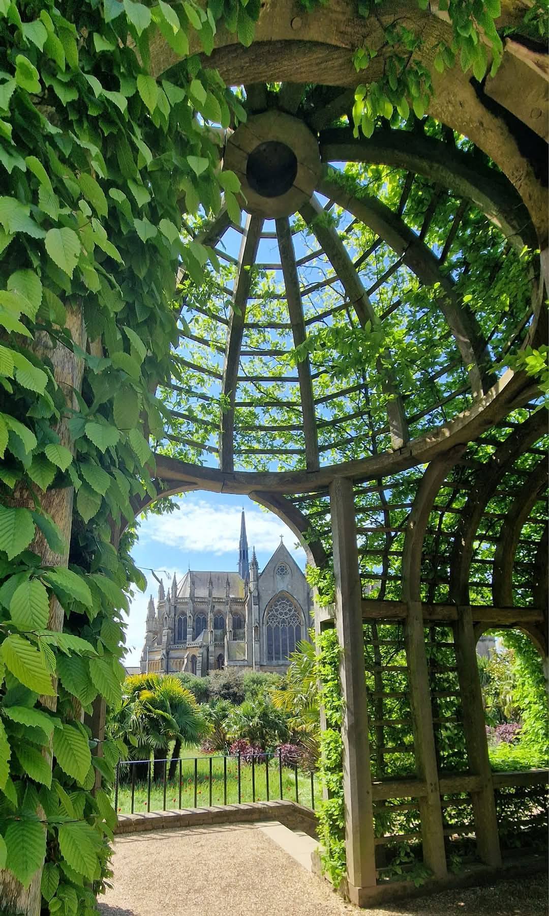 Arundel 15