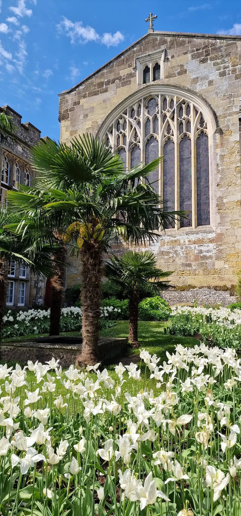 Arundel 17