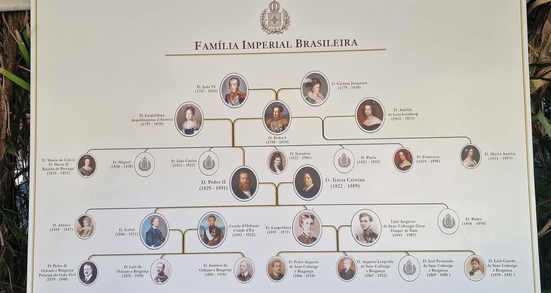 Petropolis 15