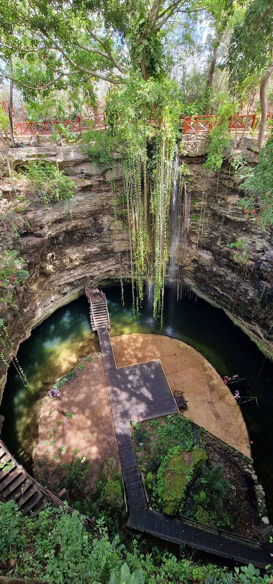 Cenote 6