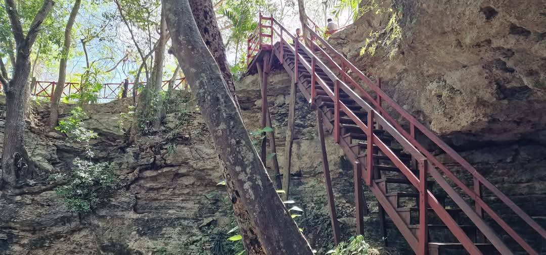 Cenote 8
