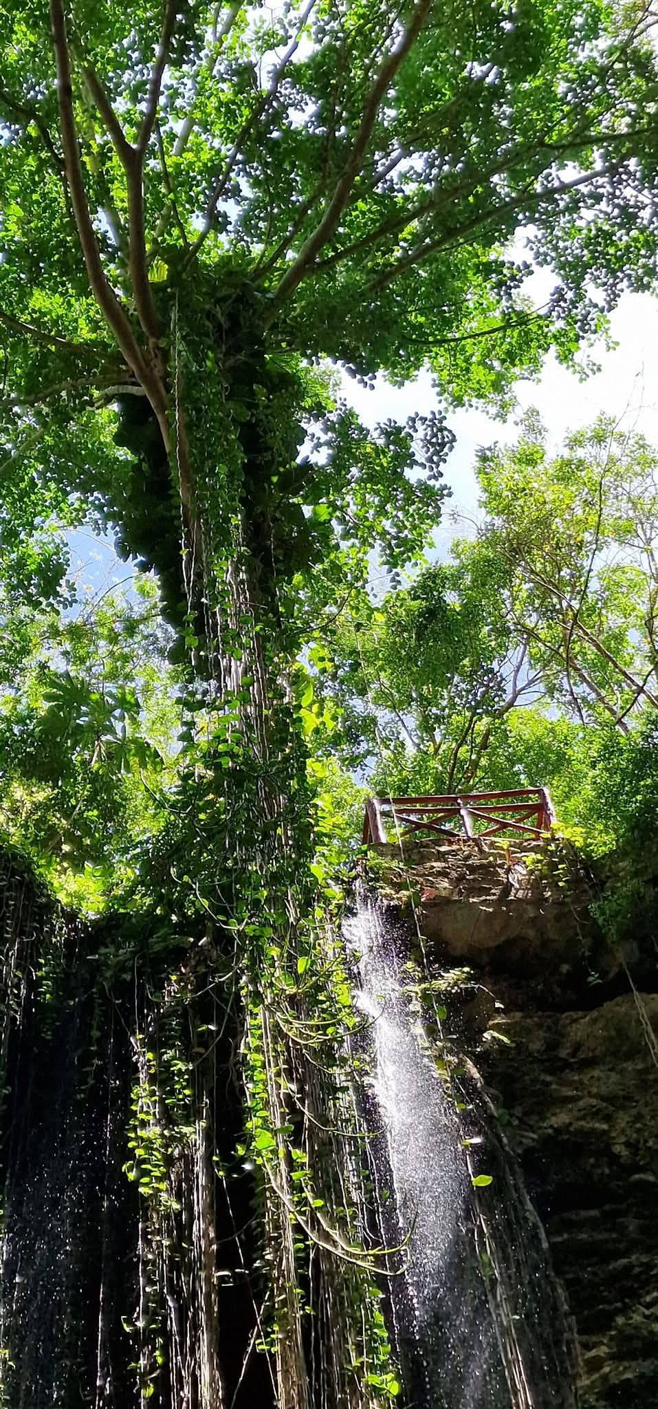 Cenote 13