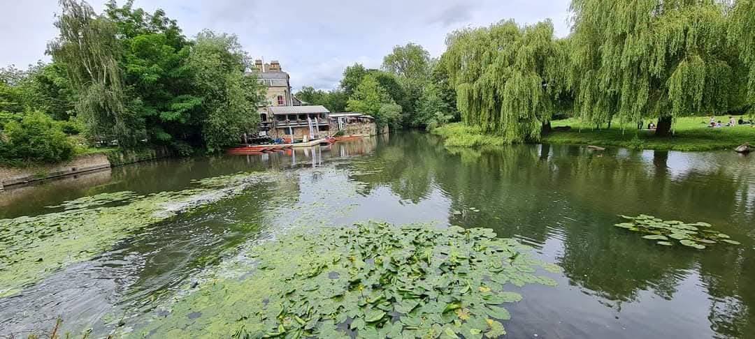 Cambridge 5