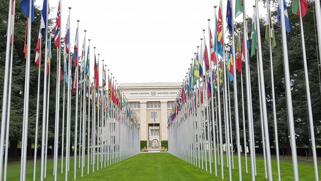 Geneva 4