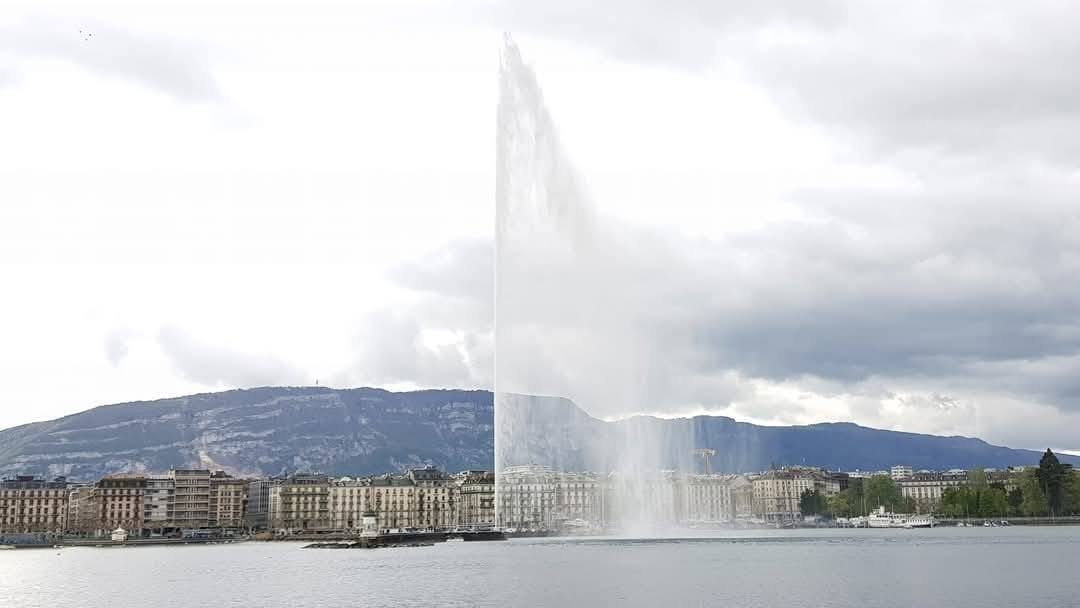 Geneva 8