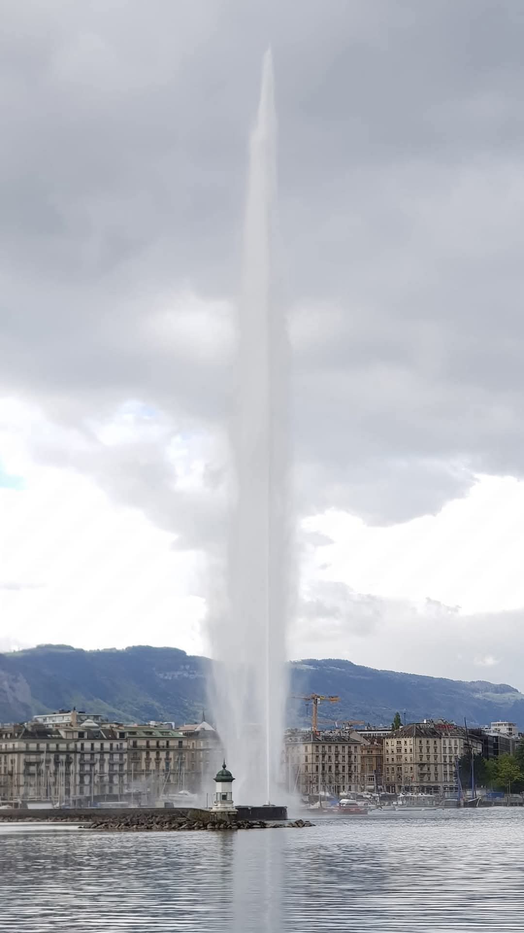 Geneva 24