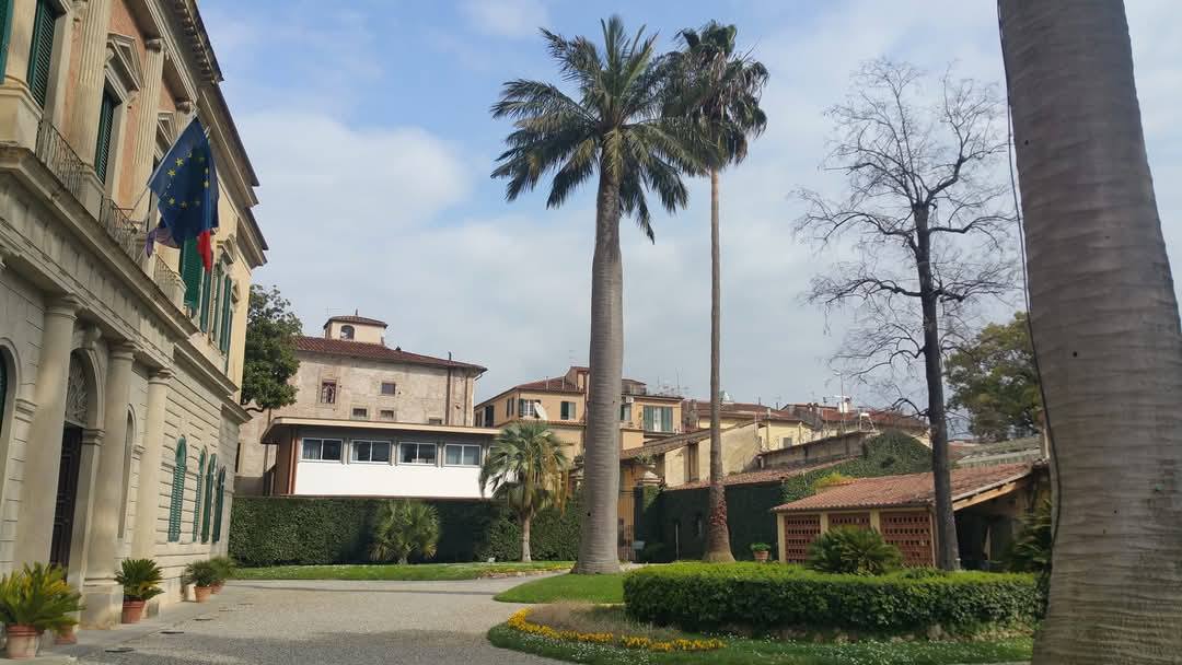 Pisa 15