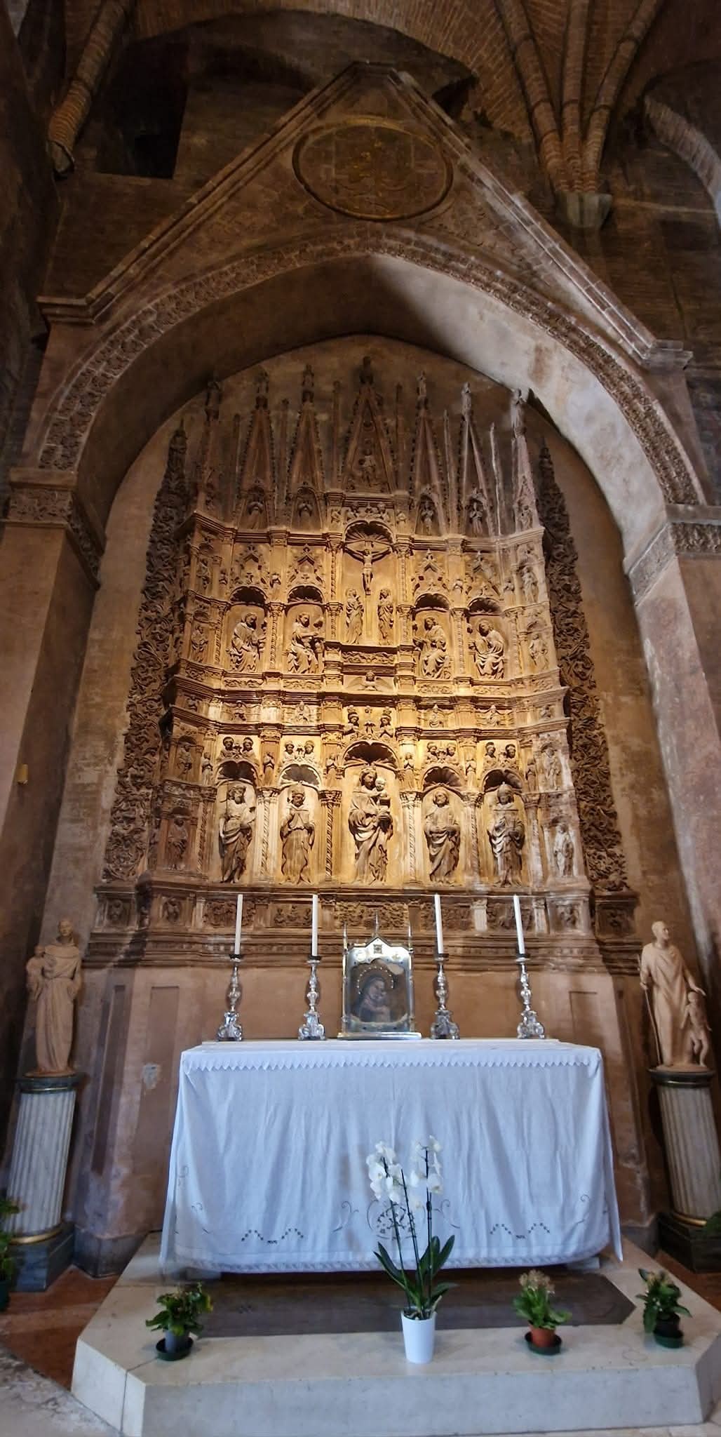 Modena 7