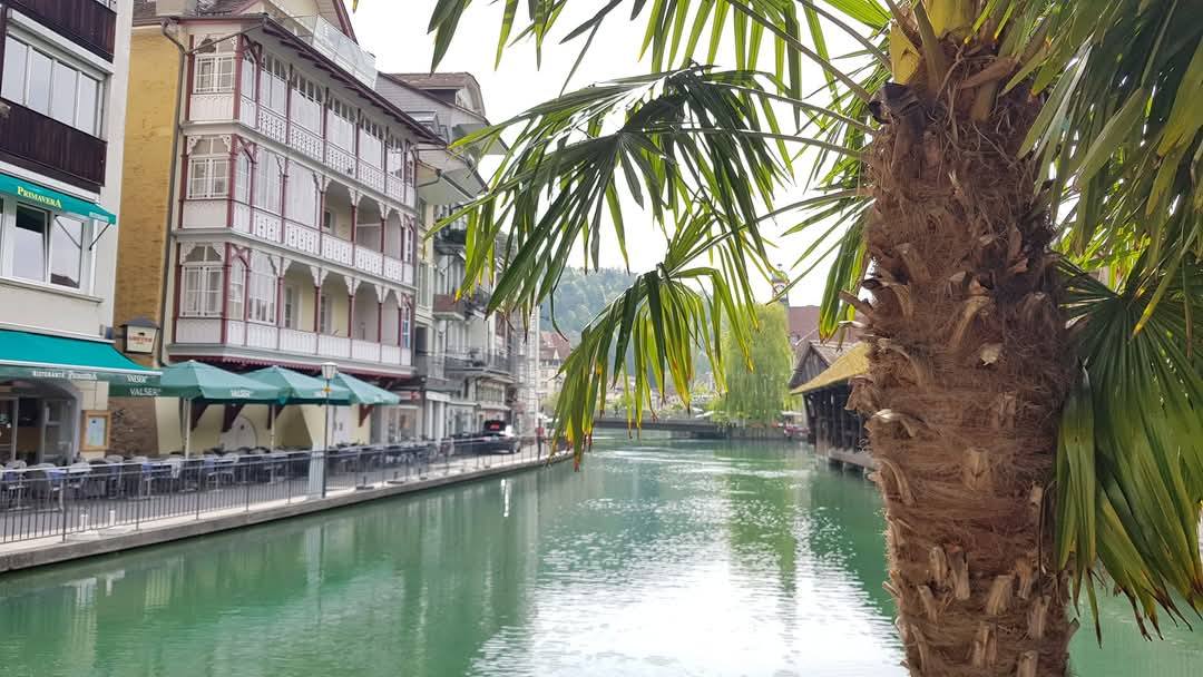 Thun 12