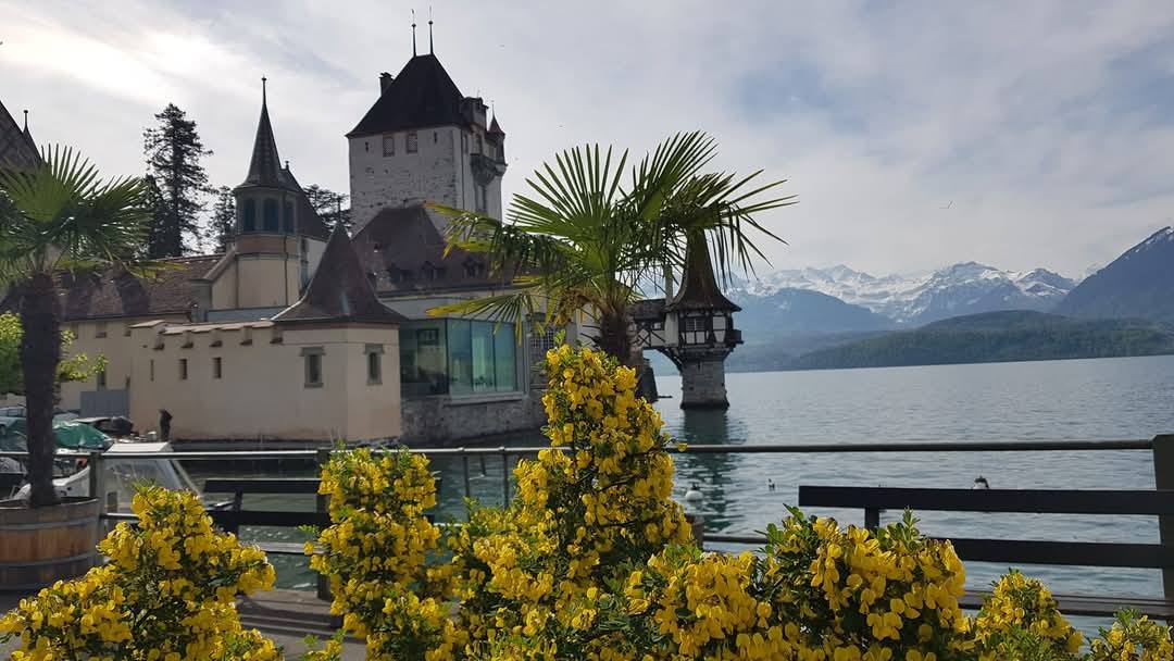 Thun 13