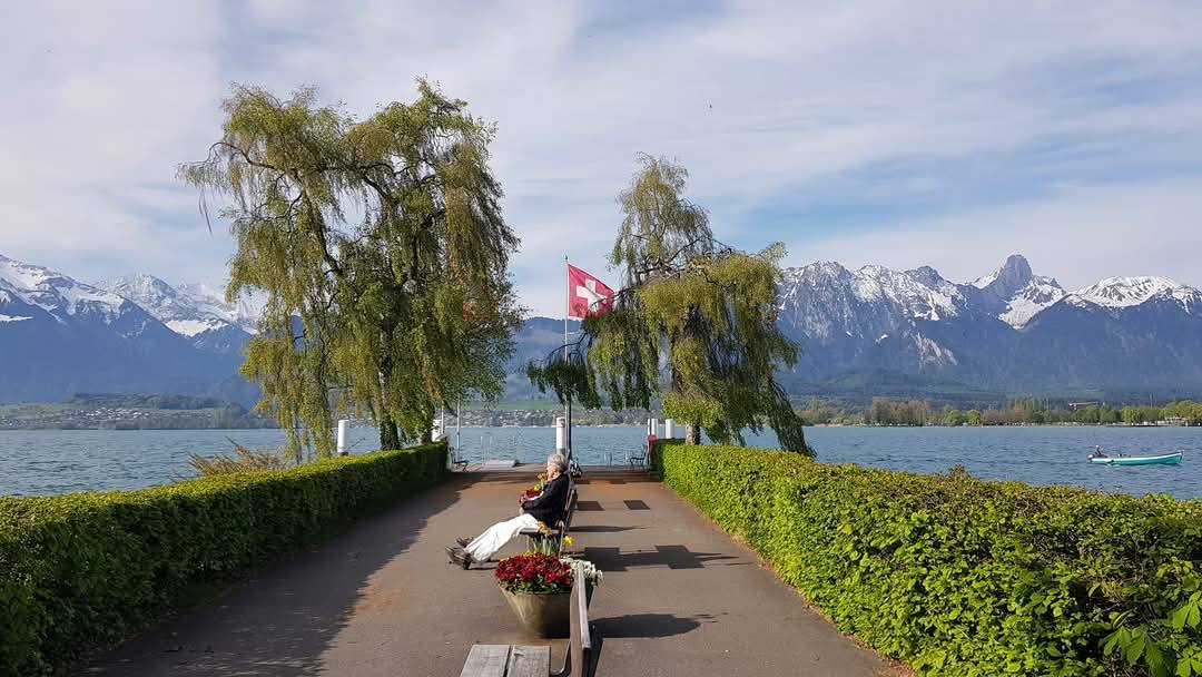 Thun 15