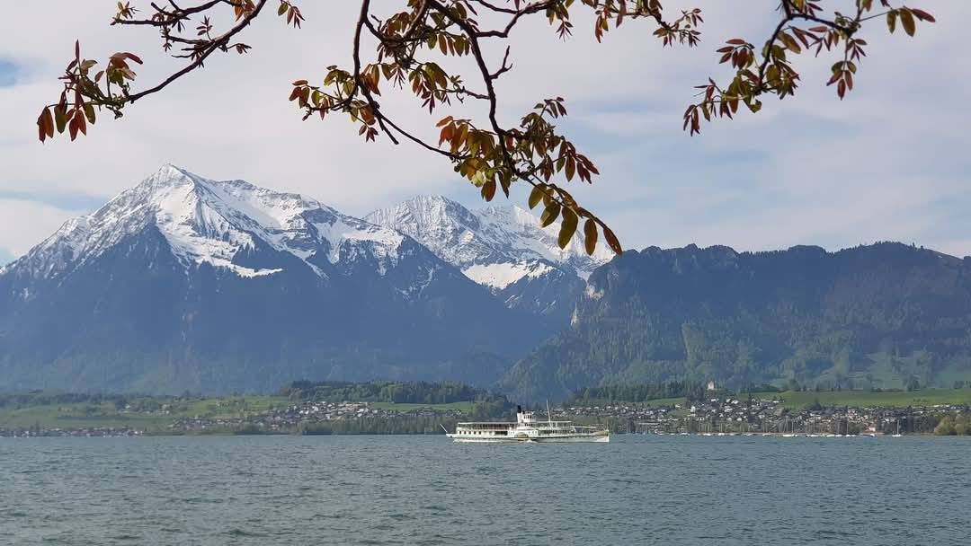 Thun 16