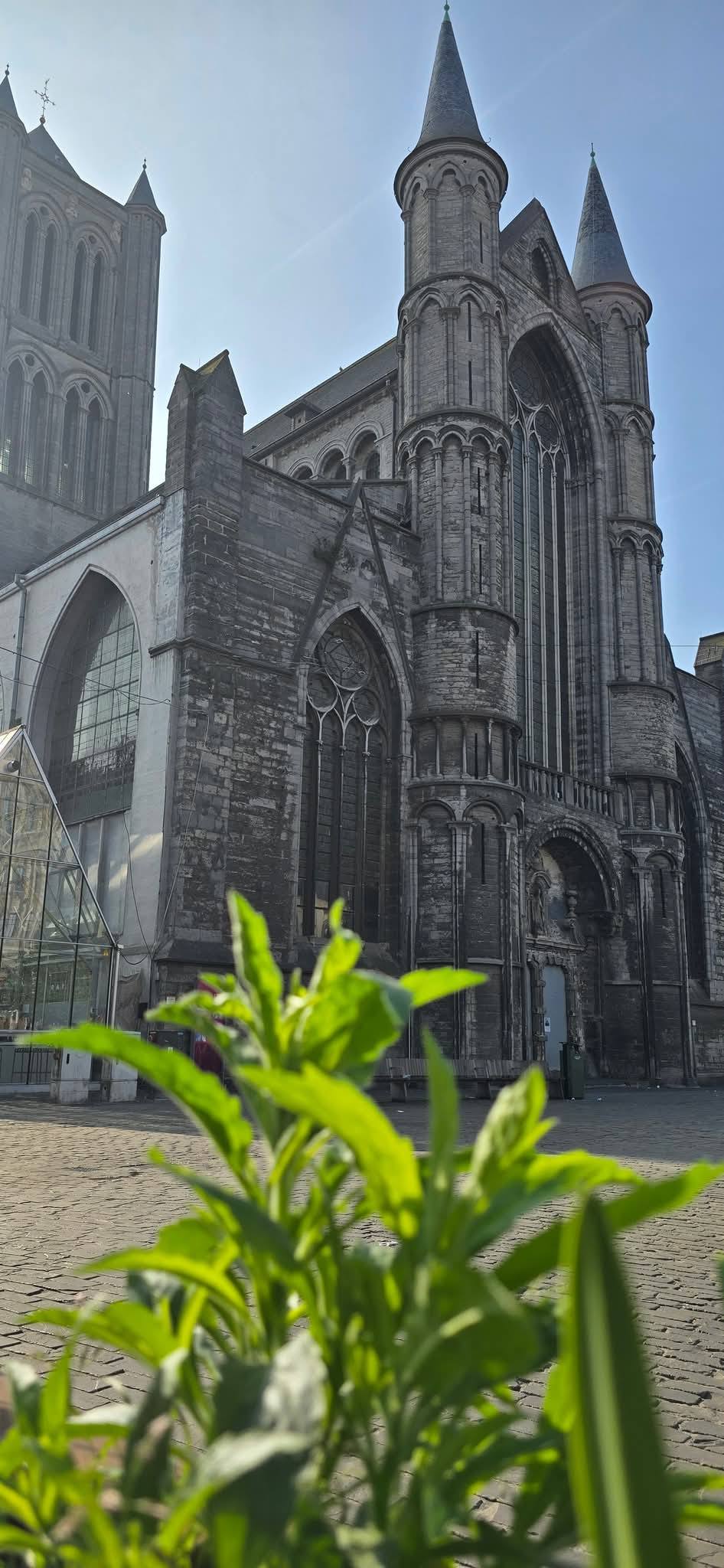 Ghent 7