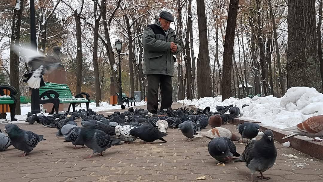 Chisinau 25