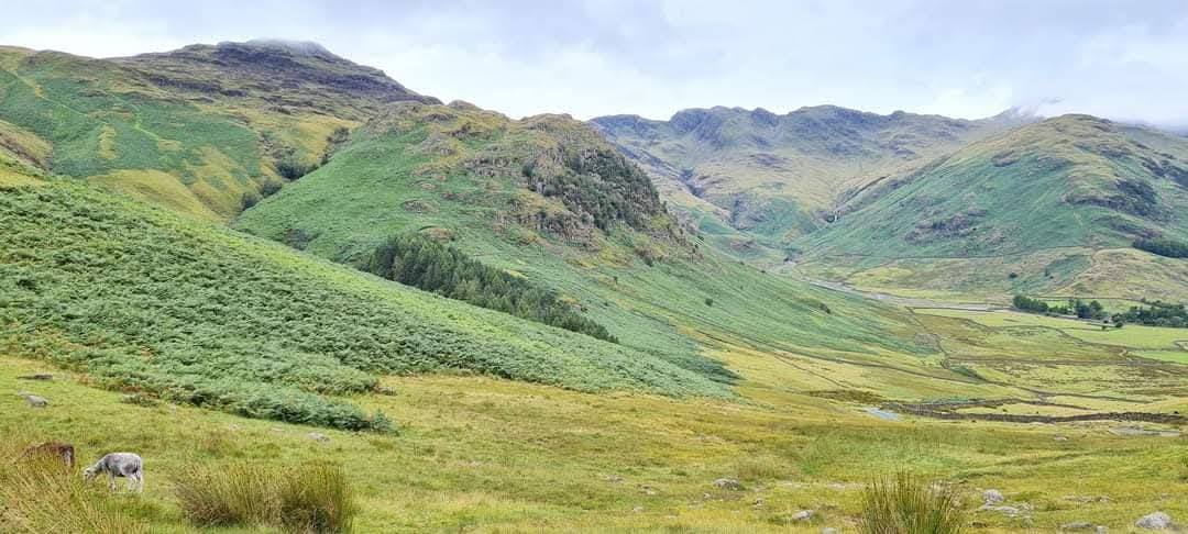 Lake District 12