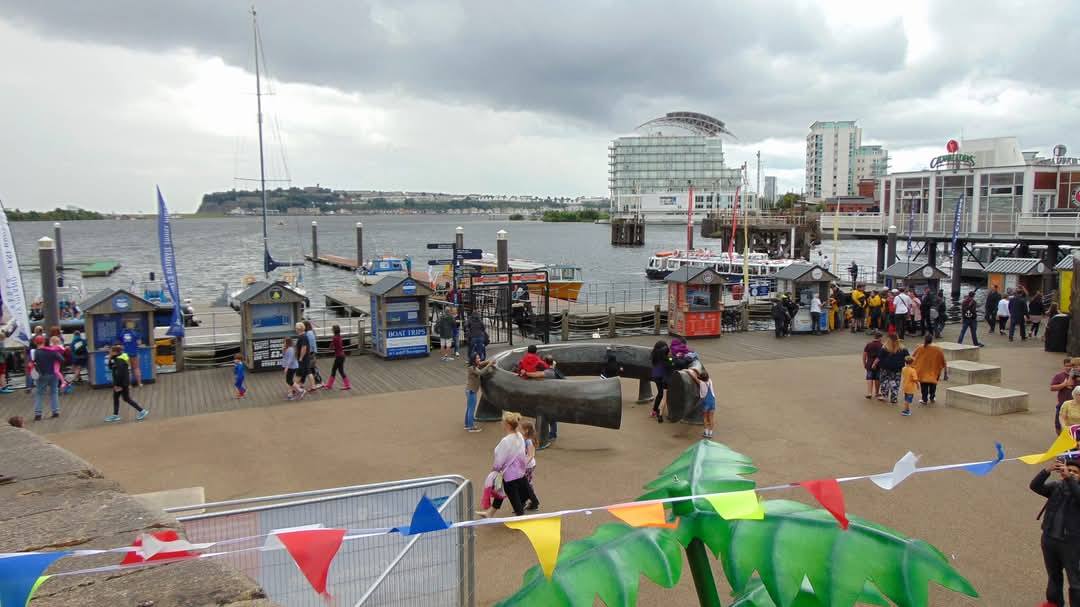 Cardiff 15