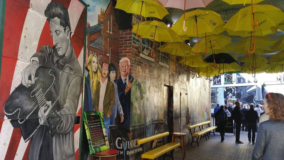 Belfast 24