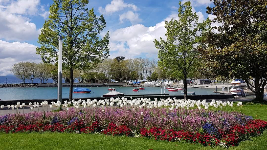 Lausanne 7