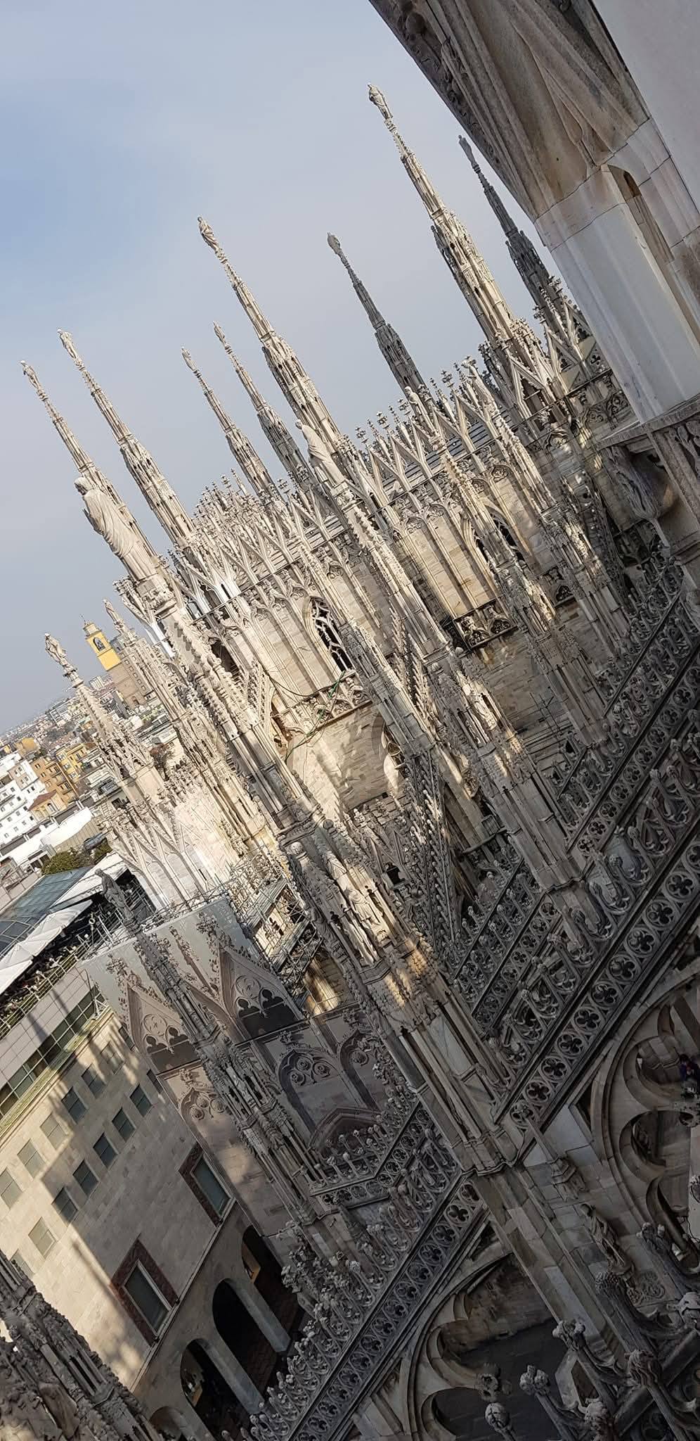 Milano 15