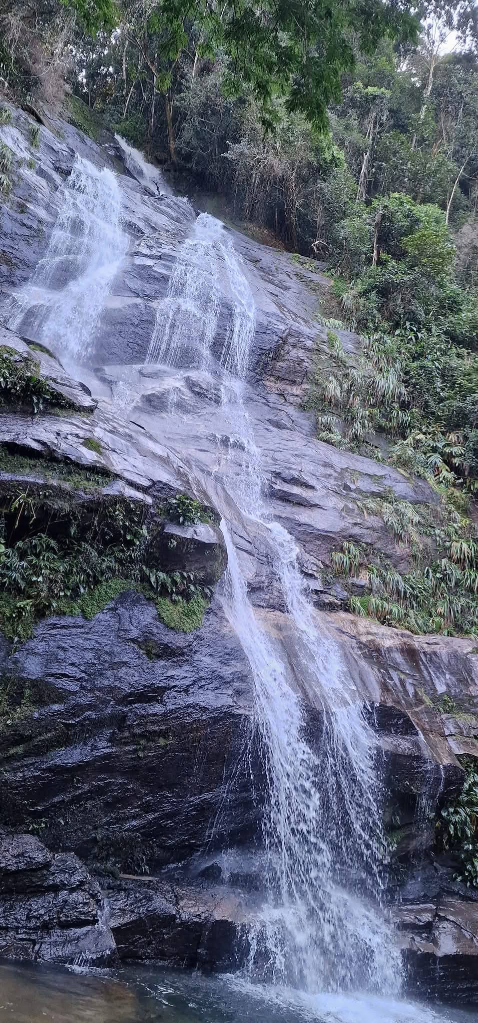 Tijuca Forest 5