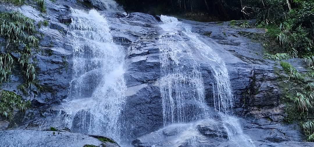 Tijuca Forest 6