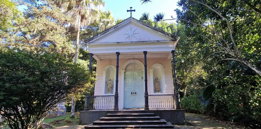 Tijuca Forest 8