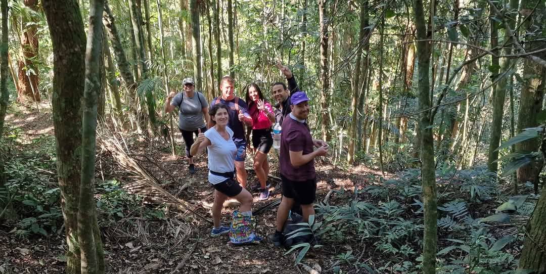 Tijuca Forest 12