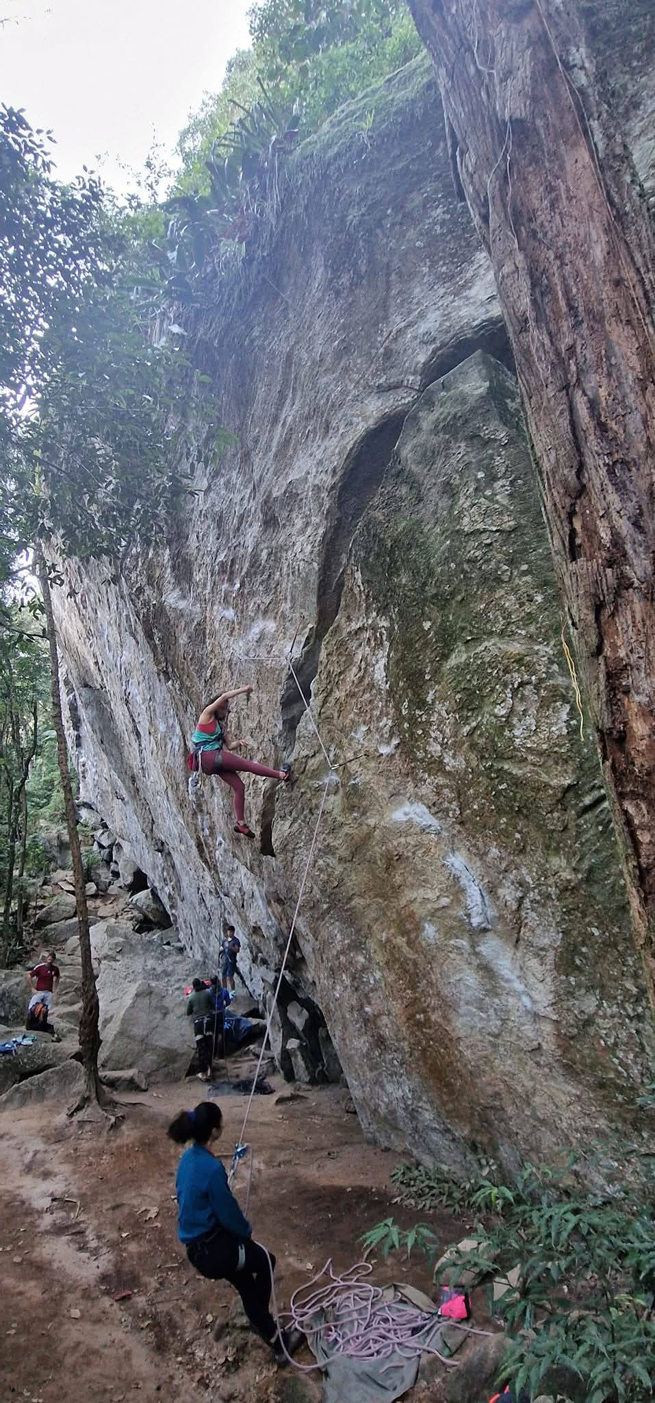 Tijuca Forest 22