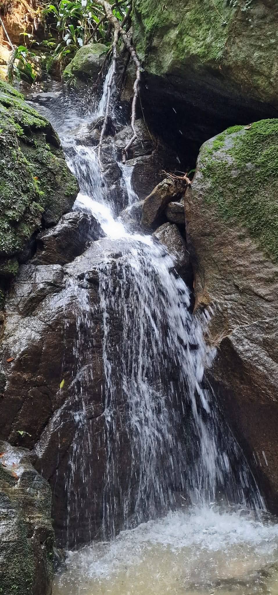 Tijuca Forest 24