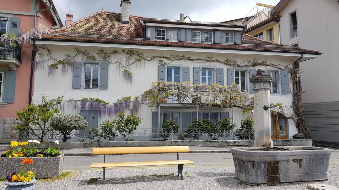 Vevey 1