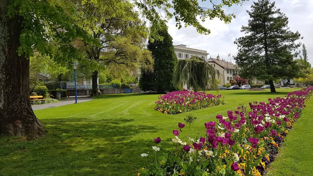 Vevey 2