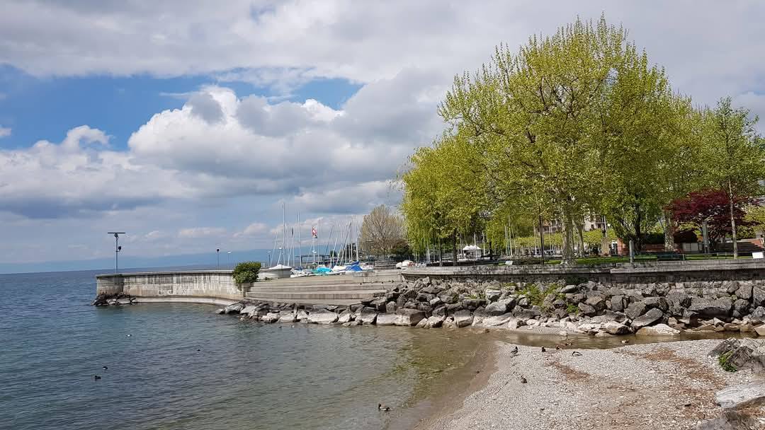 Vevey 7
