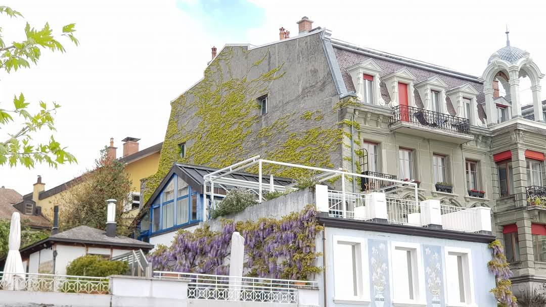 Vevey 16