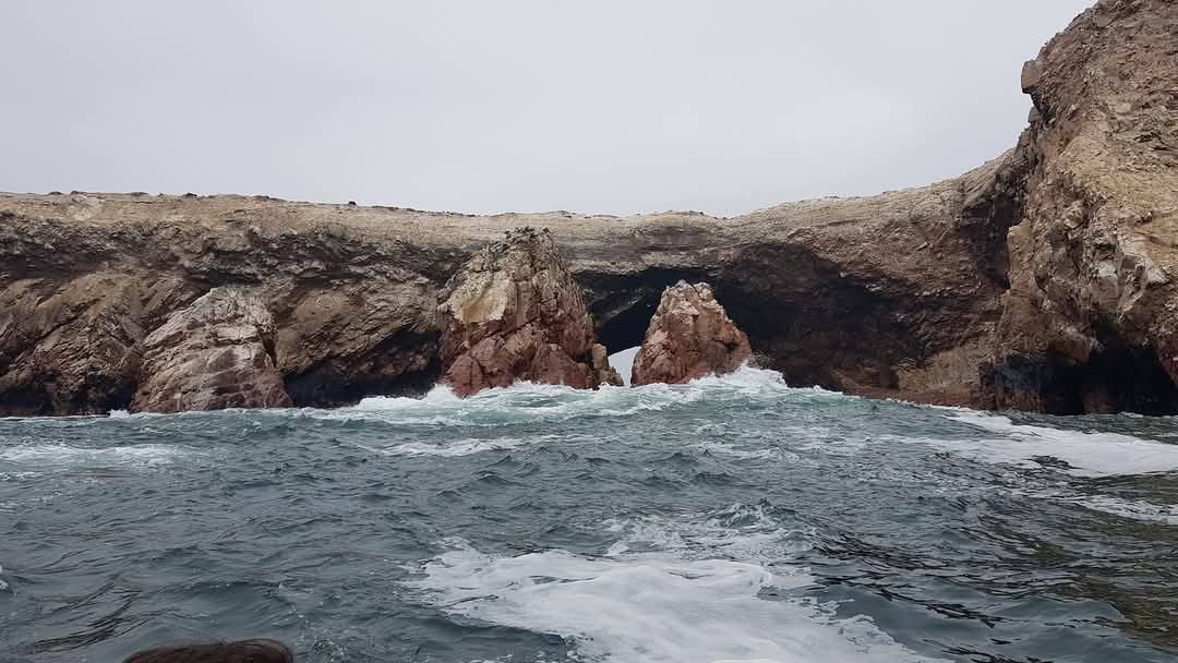 Palomino Islands 2