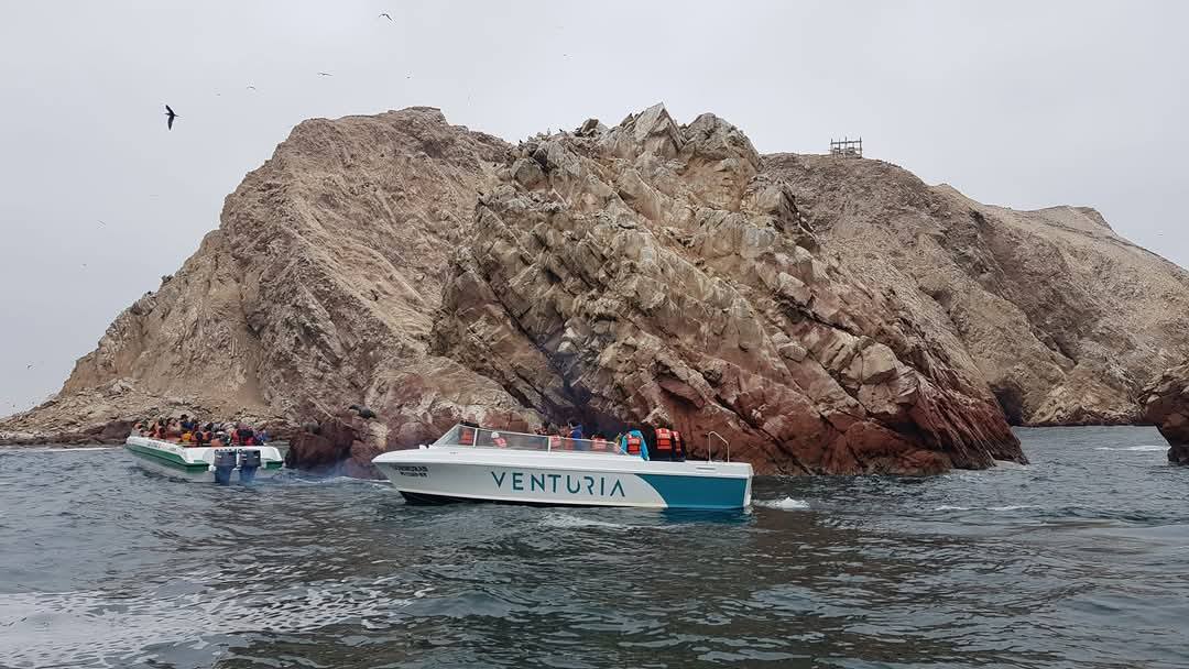 Palomino Islands 6