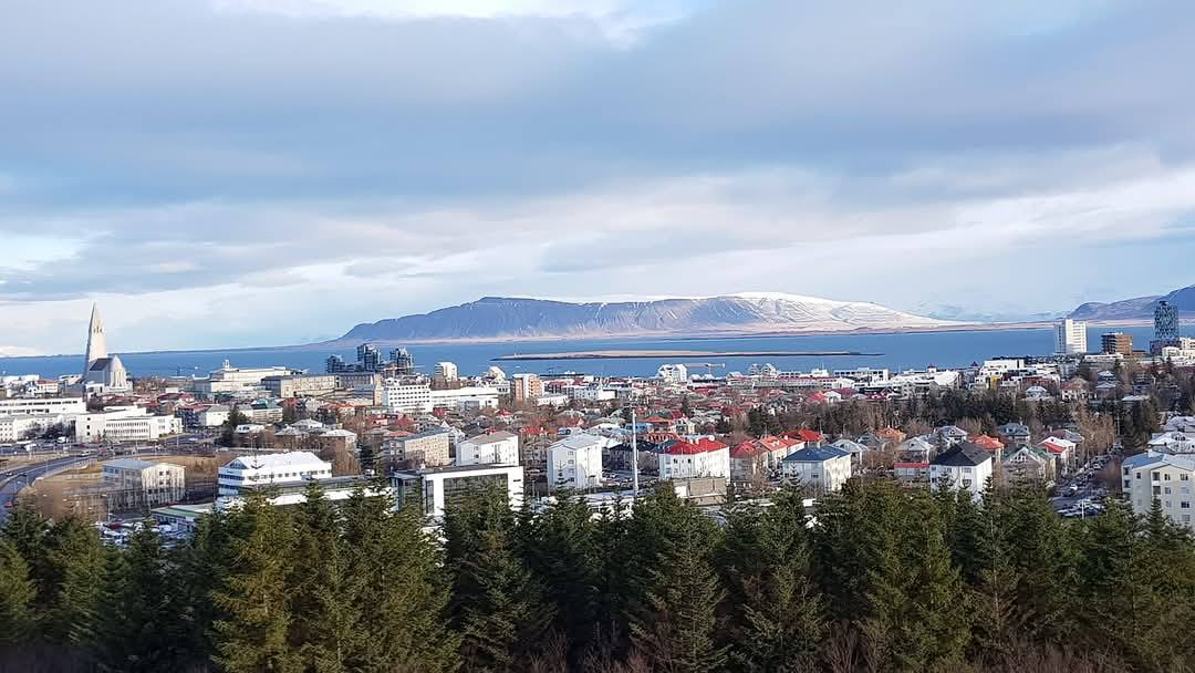 Reykjavik 6