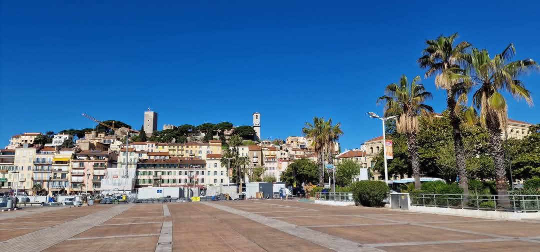 Cannes 8