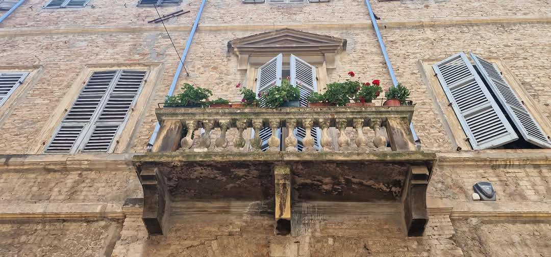 Parma 6