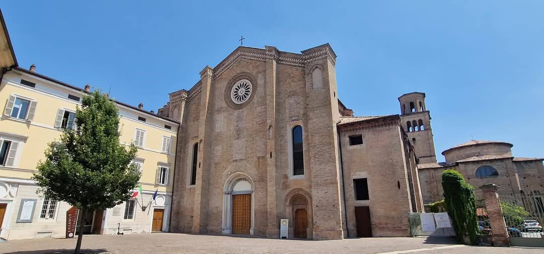 Parma 7