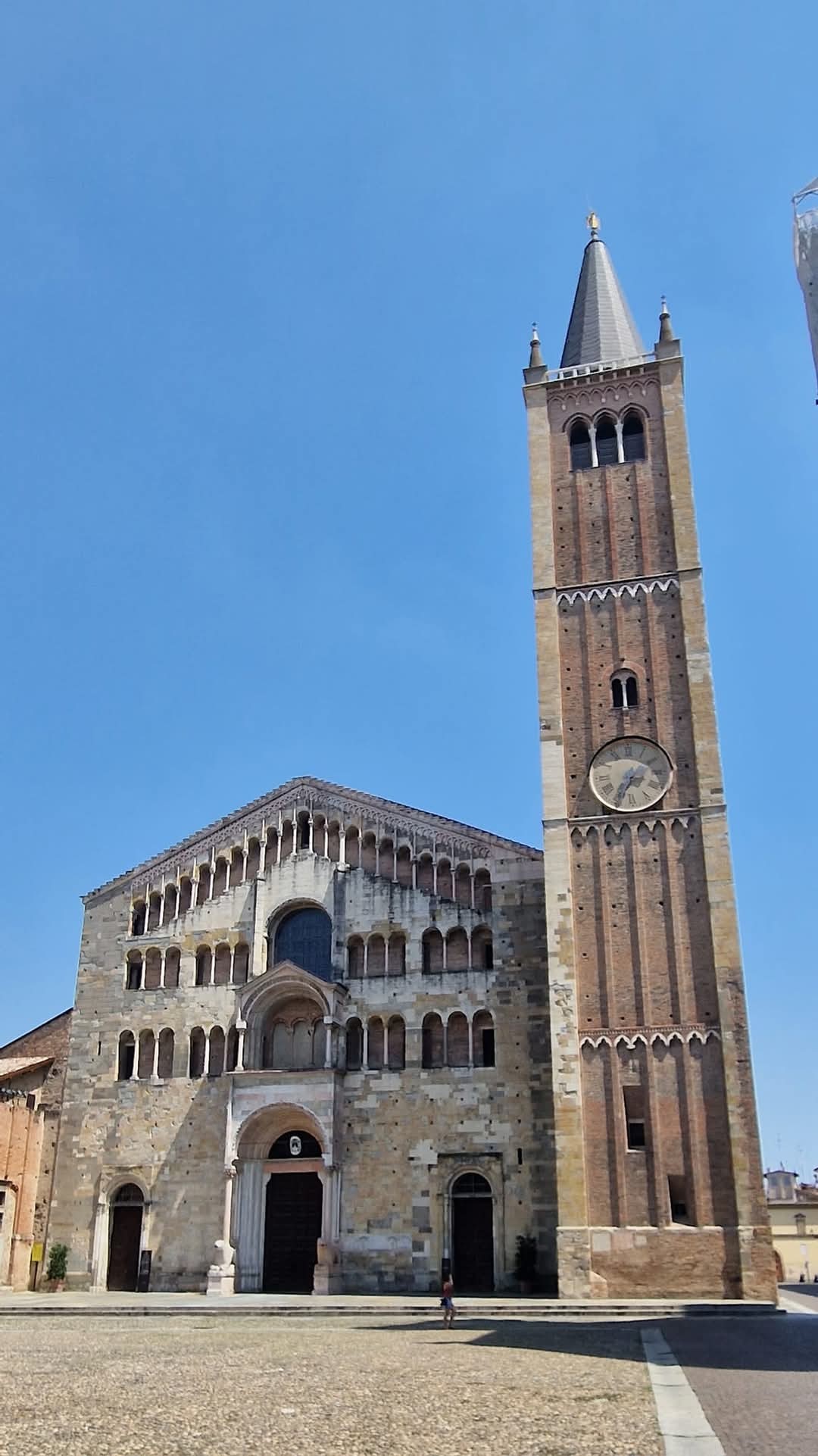 Parma 14