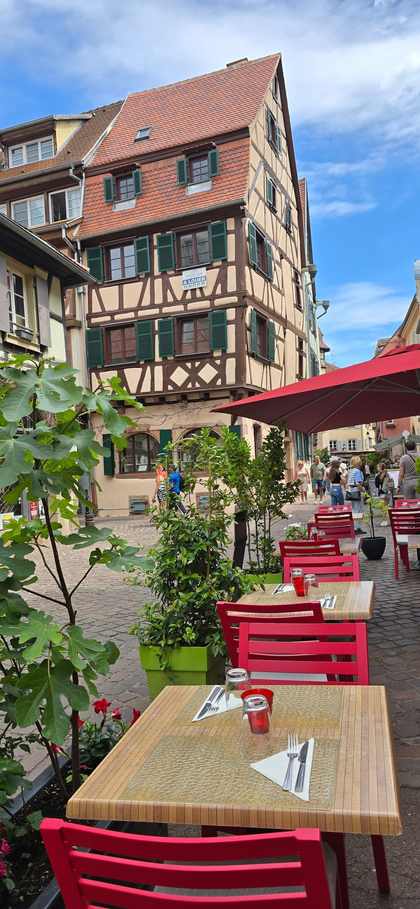 Colmar 16