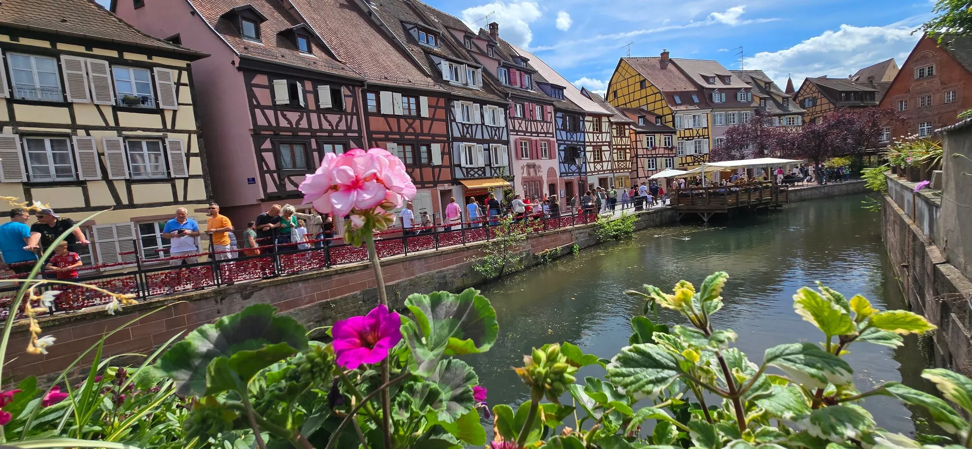 Colmar 25