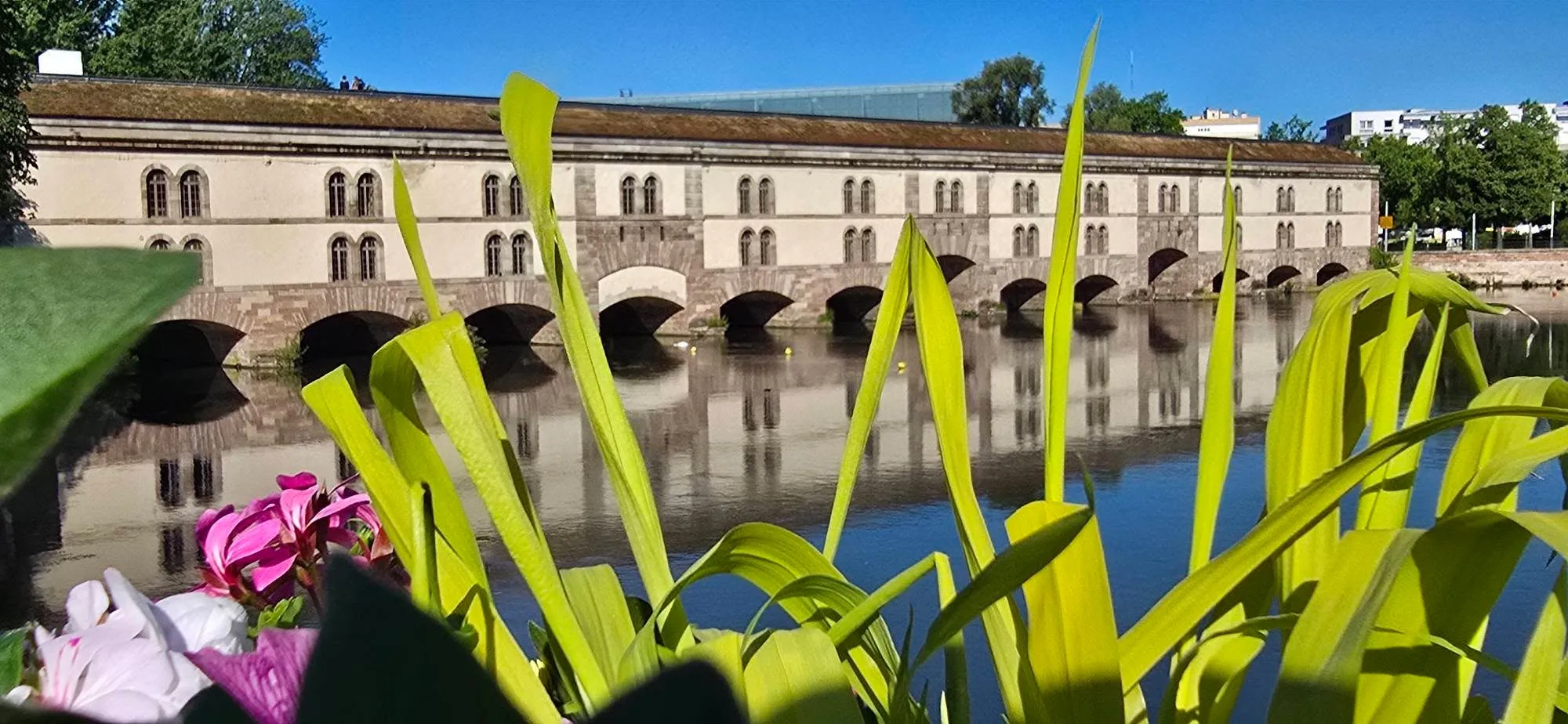 Strasbourg 5
