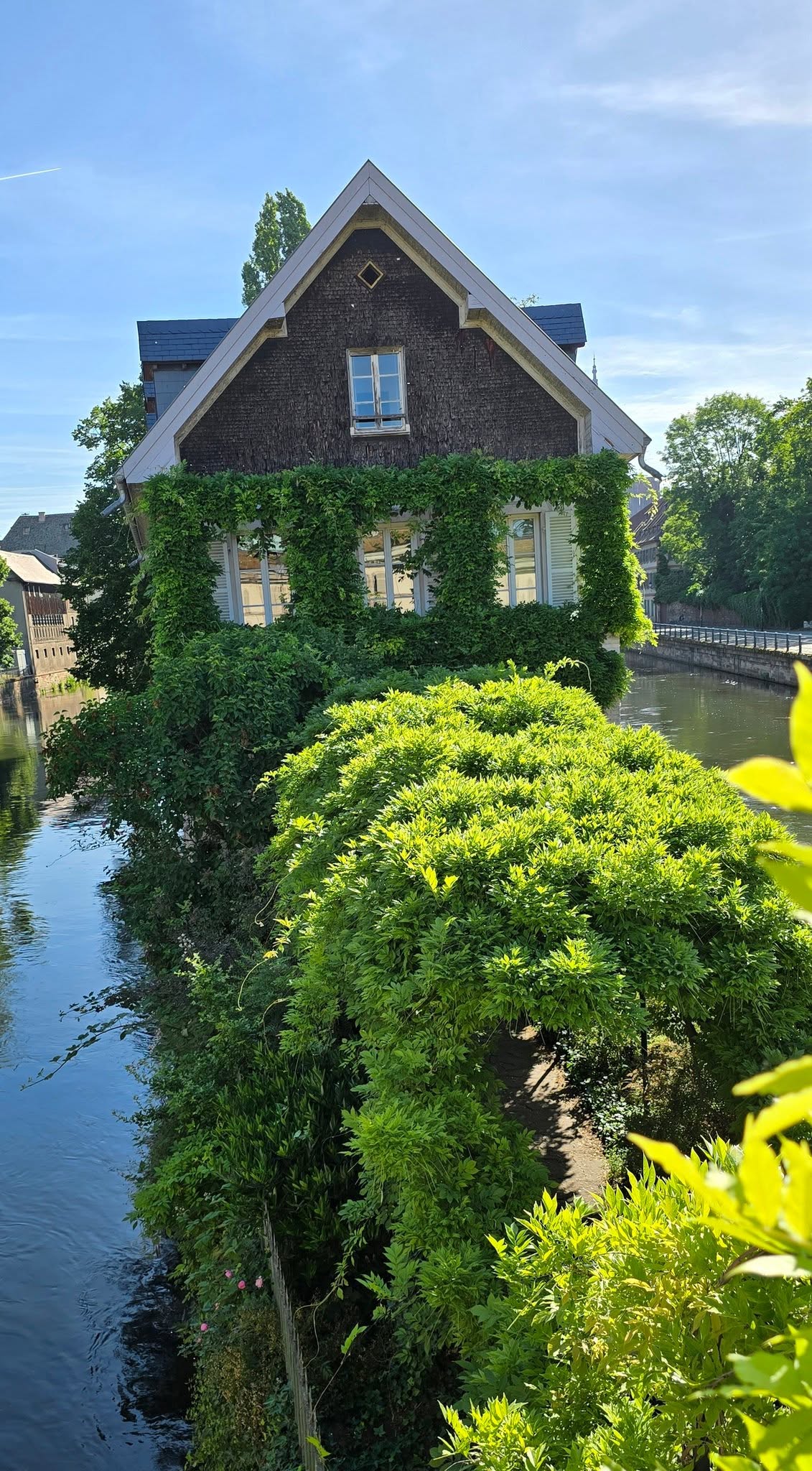Strasbourg 7